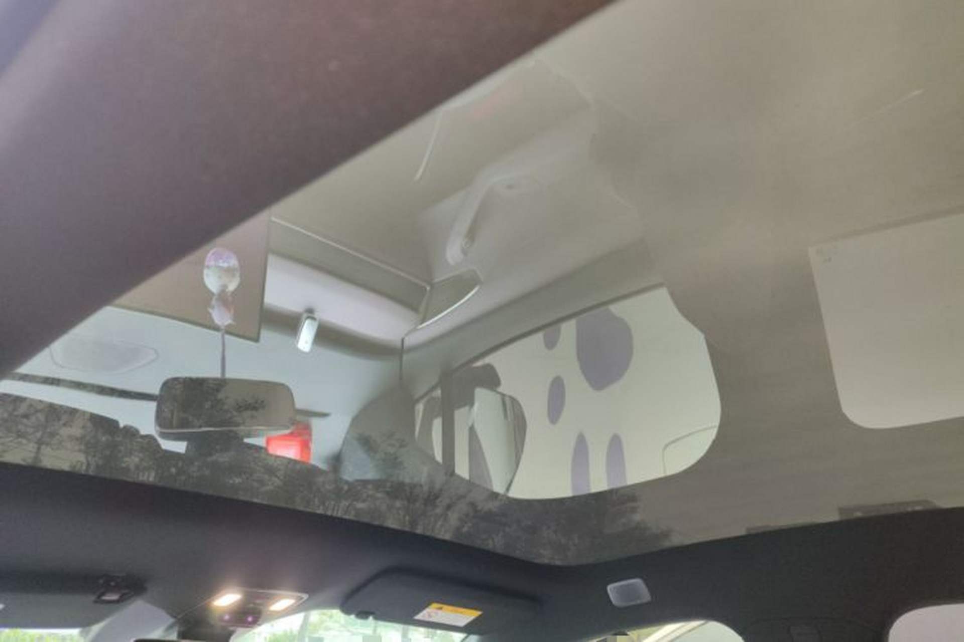 Used ONVO L60 2024 60 kWh Rear-Drive Version Headliner