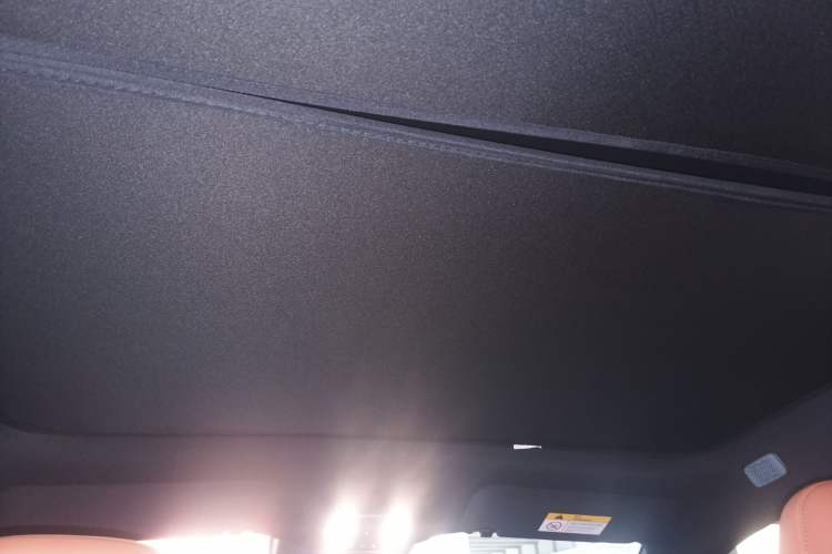 Used ONVO L60 2024 60 kWh Rear-Drive Version Headliner