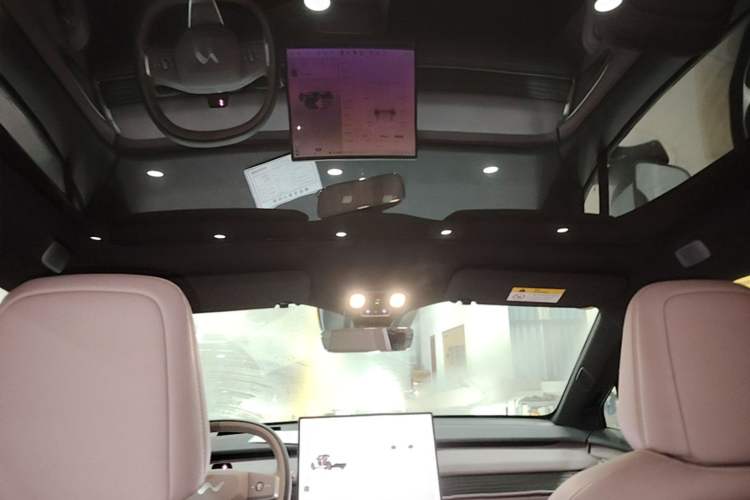 Used ONVO L60 2024 85 kWh Rear-Drive Version Headliner