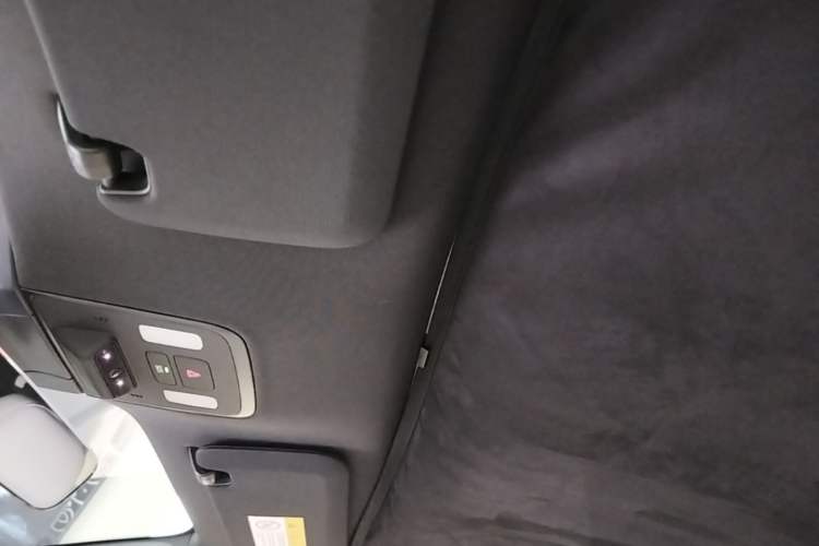 Used ONVO L60 2024 60 kWh All-Wheel Drive Headliner