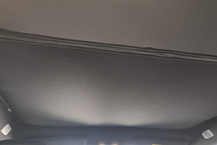 Used ONVO L60 2024 60 kWh Rear-Drive Version Headliner