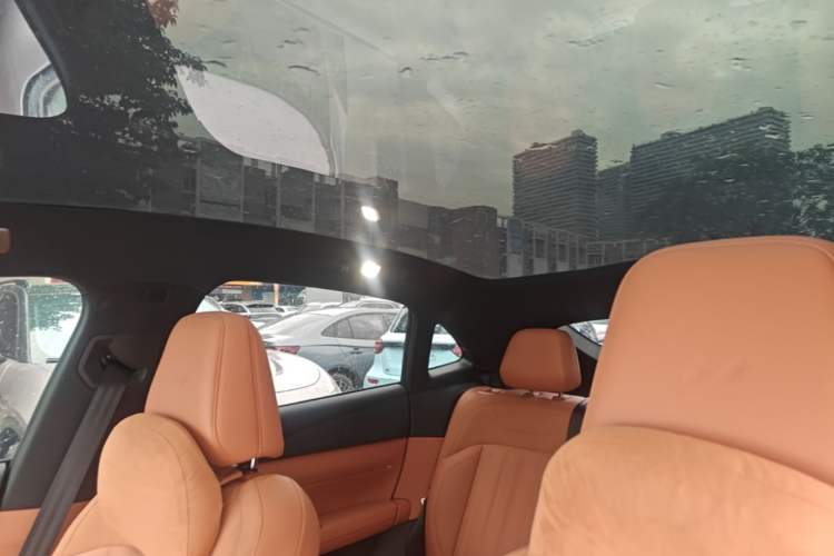 Used ONVO L60 2024 60 kWh Rear-Drive Version Headliner