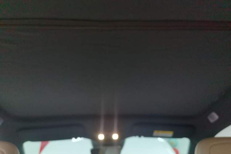 Used ONVO L60 2024 60 kWh Rear-Drive Version Headliner