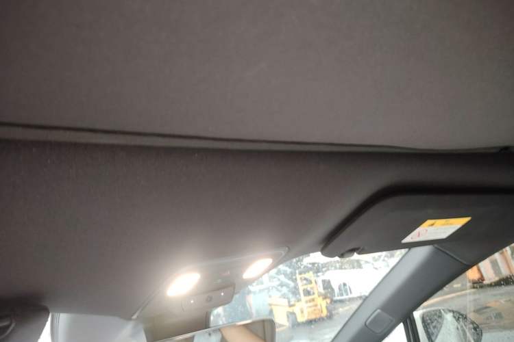 Used ONVO L60 2024 60 kWh Rear-Drive Version Headliner