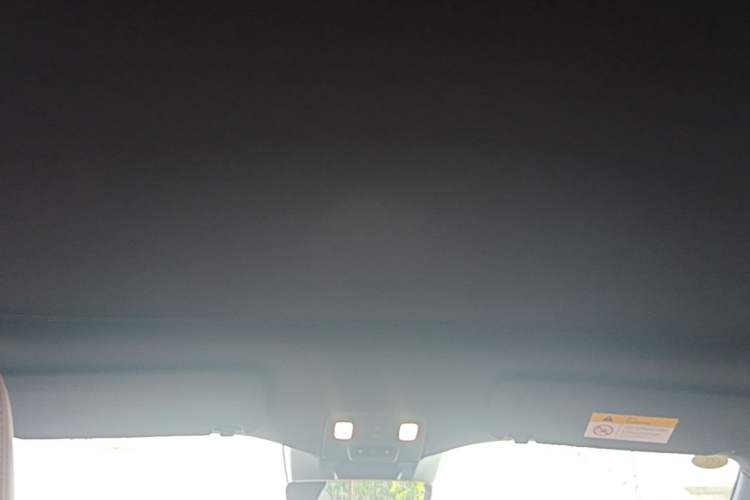Used ONVO L60 2024 60 kWh Rear-Drive Version Headliner