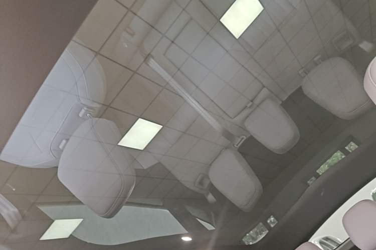 Used ONVO L60 2024 60 kWh All-Wheel Drive Headliner