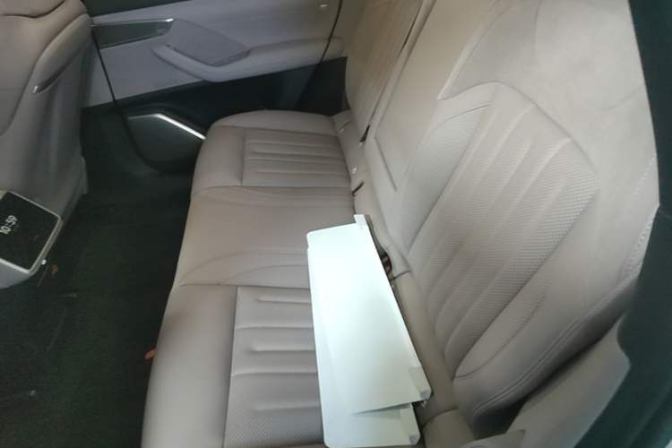 Used ONVO L60 2024 60 kWh Rear-Drive Version Left Rear Seat