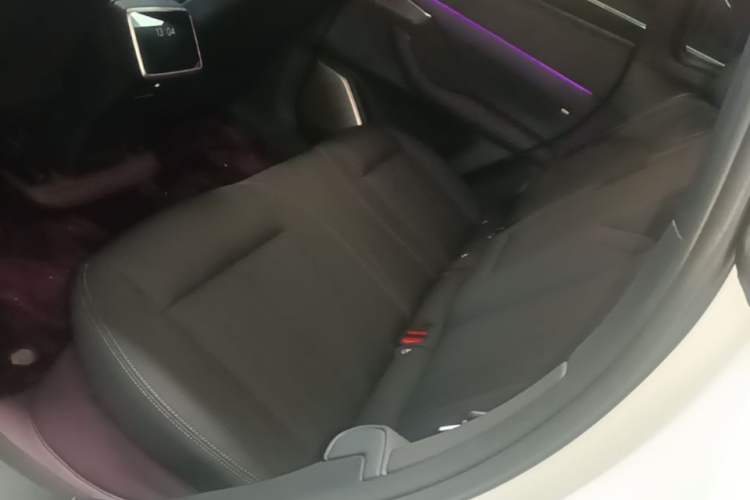 Used ONVO L60 2024 60 kWh Rear-Drive Version Left Rear Seat