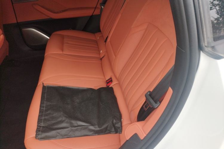 Used ONVO L60 2024 60 kWh Rear-Drive Version Left Rear Seat