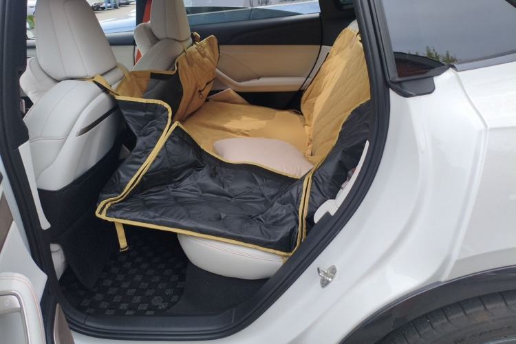 Used ONVO L60 2024 60 kWh Rear-Drive Version Left Rear Seat