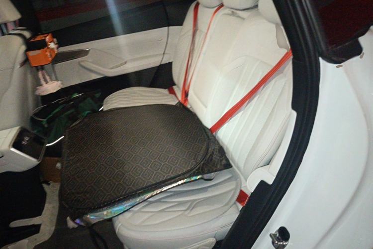 Used ONVO L60 2024 60 kWh Rear-Drive Version Left Rear Seat