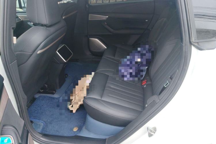 Used ONVO L60 2024 60 kWh Rear-Drive Version Left Rear Seat