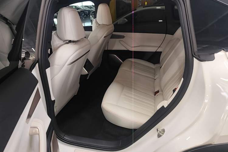 Used ONVO L60 2024 60 kWh Rear-Drive Version Left Rear Seat