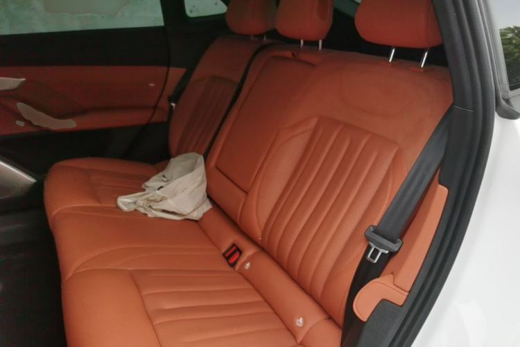 Used ONVO L60 2024 60 kWh Rear-Drive Version Left Rear Seat