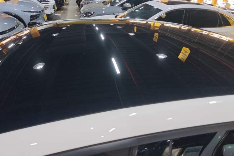 Used ONVO L60 2024 60 kWh Rear-Drive Version Roof