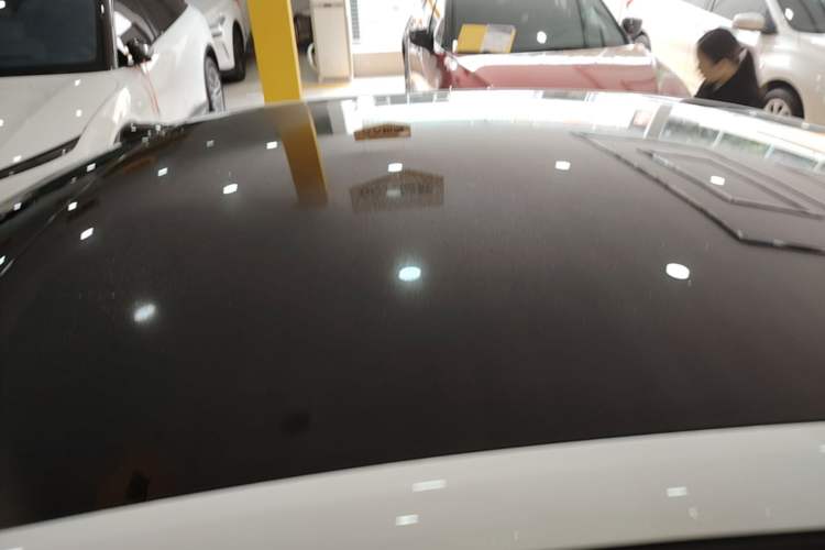 Used ONVO L60 2024 60 kWh Rear-Drive Version Roof