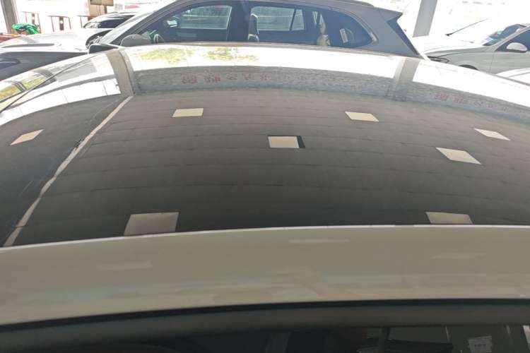 Used ONVO L60 2024 60 kWh Rear-Drive Version Roof