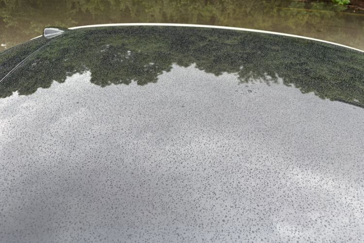 Used ONVO L60 2024 60 kWh Rear-Drive Version Roof
