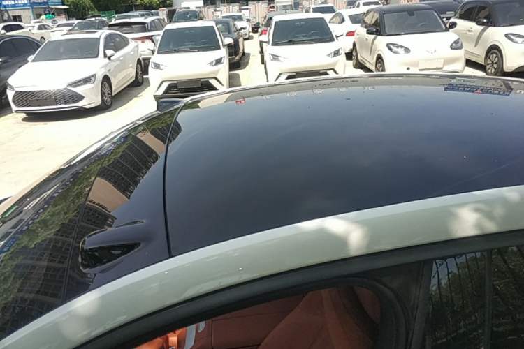 Used ONVO L60 2024 60 kWh Rear-Drive Version Roof