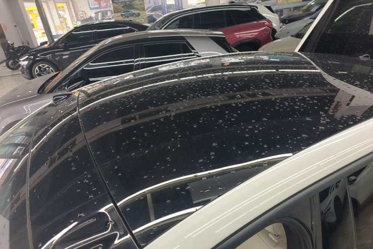 Used ONVO L60 2024 60 kWh Rear-Drive Version Roof