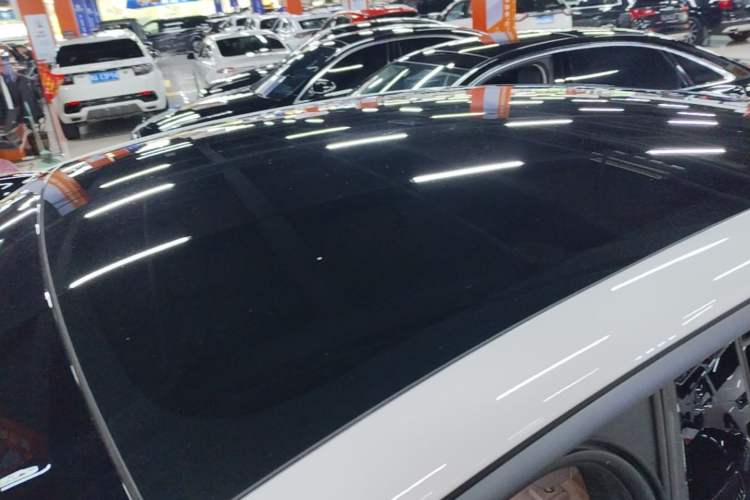 Used ONVO L60 2024 60 kWh Rear-Drive Version Roof