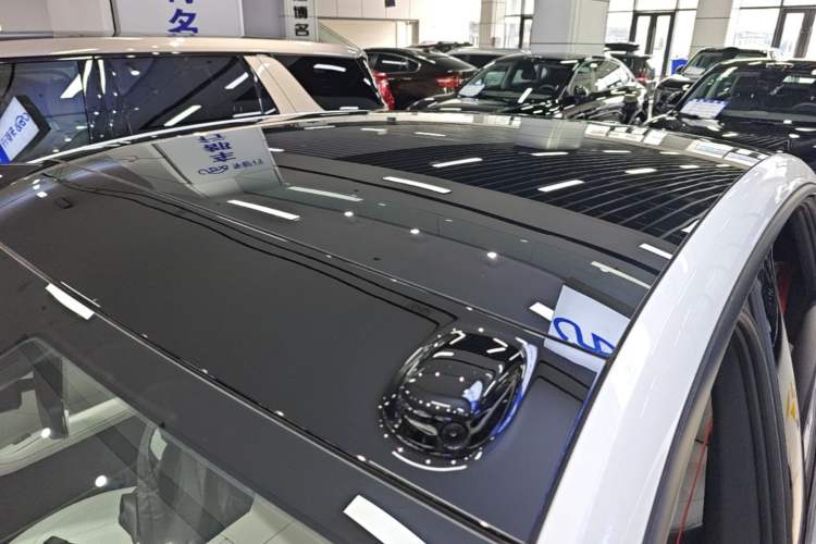 Used ONVO L60 2024 60 kWh Rear-Drive Version Roof