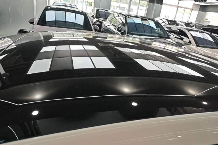 Used ONVO L60 2024 60 kWh Rear-Drive Version Roof