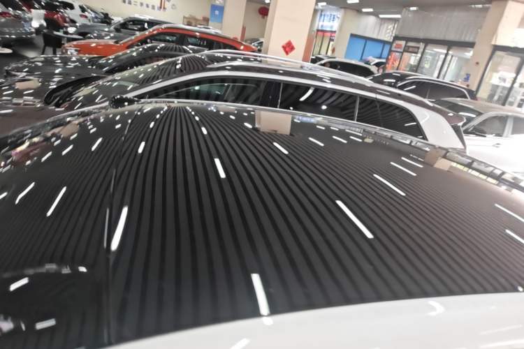 Used ONVO L60 2024 60 kWh Rear-Drive Version Roof