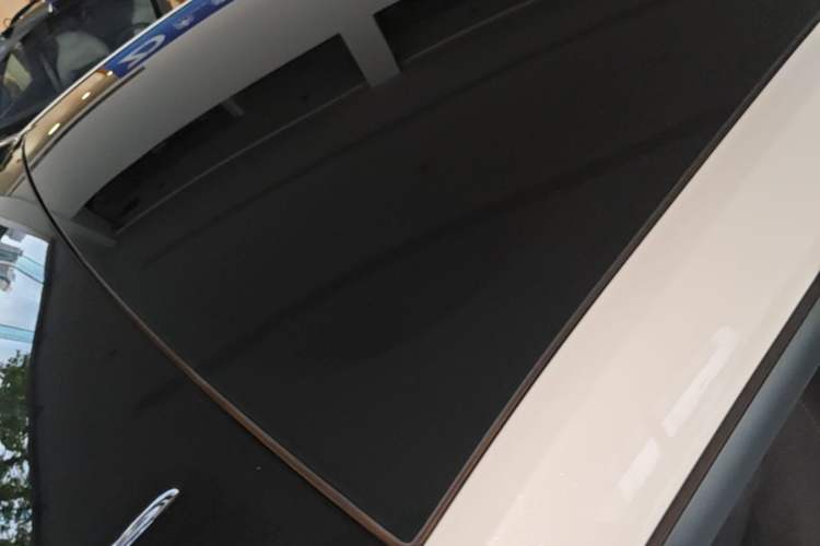 Used ONVO L60 2024 60 kWh Rear-Drive Version Roof