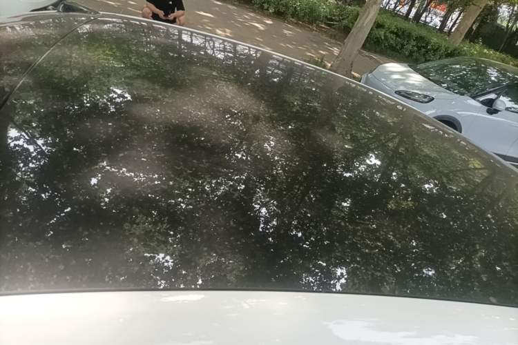 Used ONVO L60 2024 60 kWh Rear-Drive Version Roof