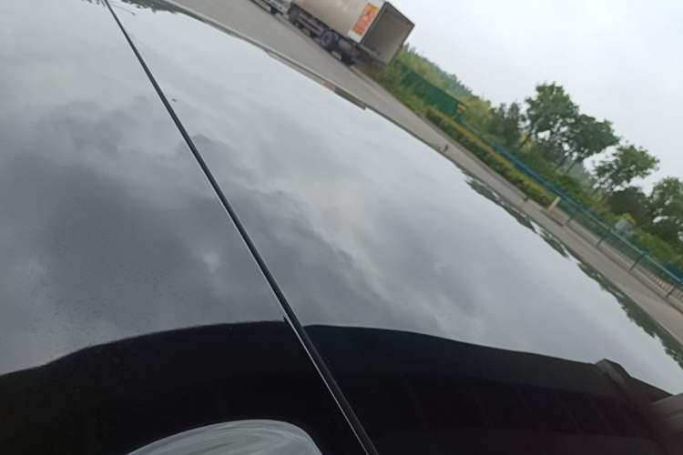 Used ONVO L60 2024 60 kWh Rear-Drive Version Roof