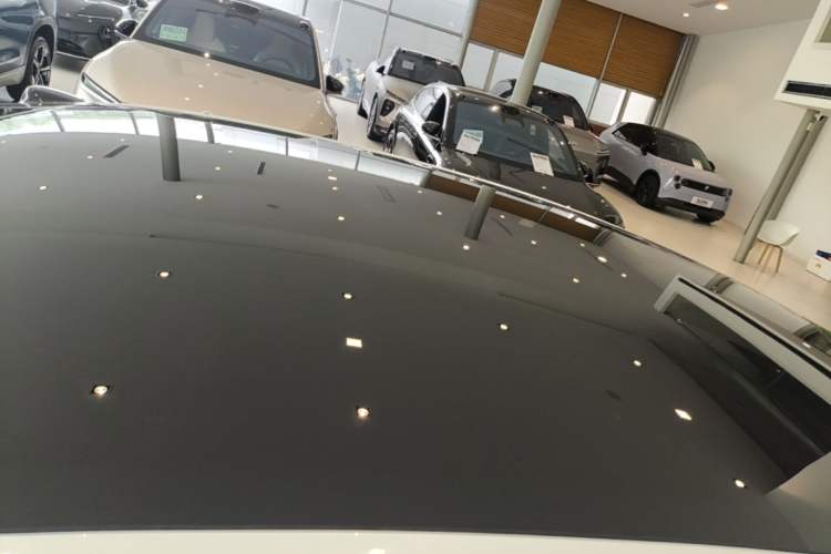 Used ONVO L60 2024 60 kWh Rear-Drive Version Roof
