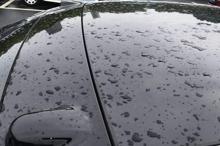 Used ONVO L60 2024 60 kWh Rear-Drive Version Roof