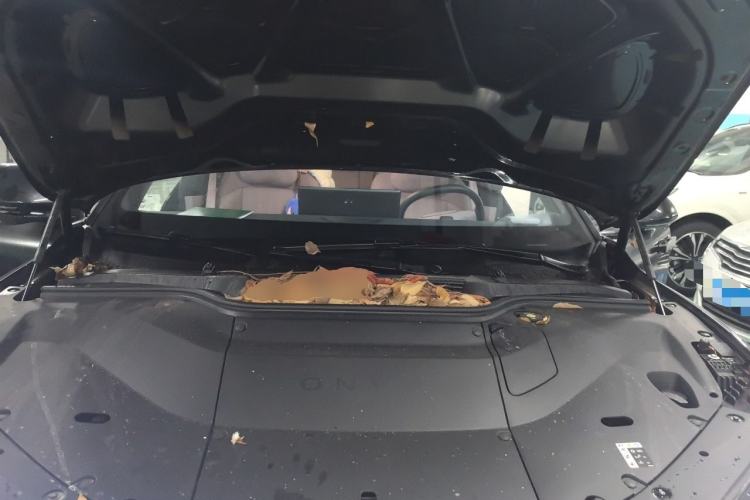 Used ONVO L60 2025 Model—60 kWh Rear-Wheel-Drive Version Engine Bay