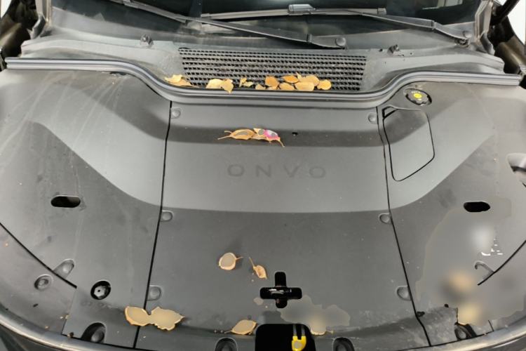 Used ONVO L60 2025 Model—60 kWh All-Wheel-Drive Version Engine Bay