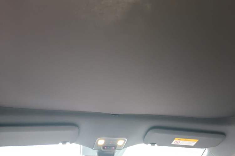 Used ONVO L60 2025 Model—60 kWh Rear-Wheel-Drive Version Headliner