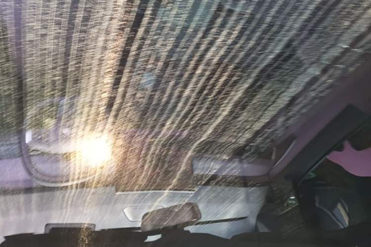 Used ONVO L60 2025 Model—60 kWh All-Wheel-Drive Version Headliner