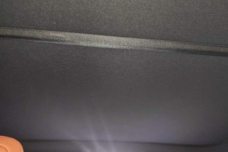 Used ONVO L60 2025 Model—60 kWh Rear-Wheel-Drive Version Headliner