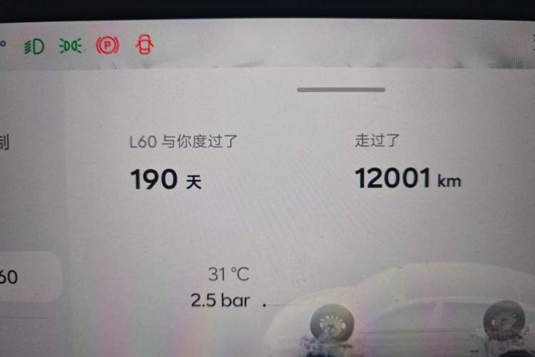 Used ONVO L60 2025 Model—60 kWh Rear-Wheel-Drive Version Odometer Close Up
