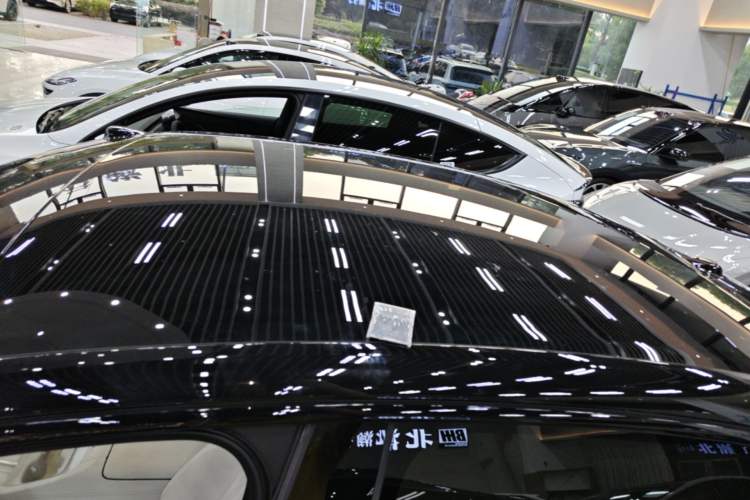 Used ONVO L60 2025 Model—60 kWh All-Wheel-Drive Version Roof