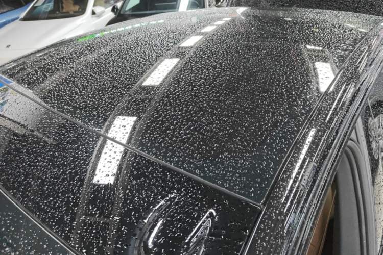 Used ONVO L60 2025 Model—60 kWh All-Wheel-Drive Version Roof