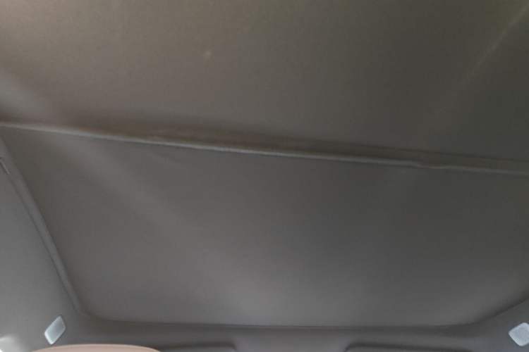 Used ONVO L60 2025 Model—60 kWh Rear-Wheel-Drive Version Headliner