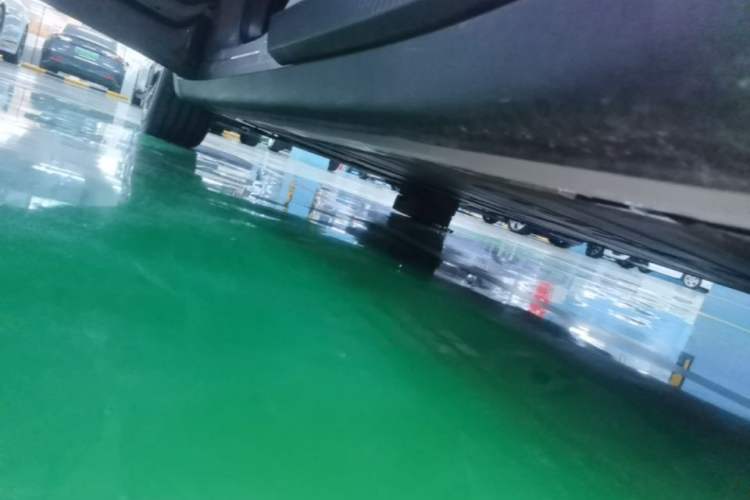 Used ONVO L60 2025 Model—60 kWh Rear-Wheel-Drive Version Left Side Sill