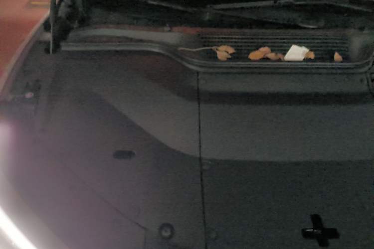 Used ONVO L60 2025 Model, 60kWh Violet Limited Edition Engine Bay Right