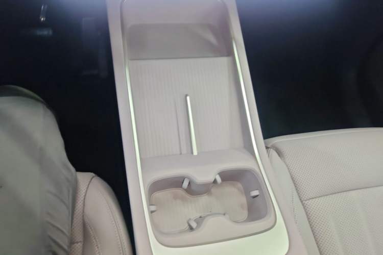 Used ONVO L60 2025 Model, 60kWh Violet Limited Edition Gear Lever