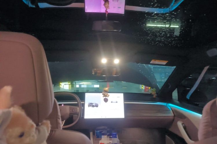 Used ONVO L60 2025 Model, 60kWh Violet Limited Edition Headliner