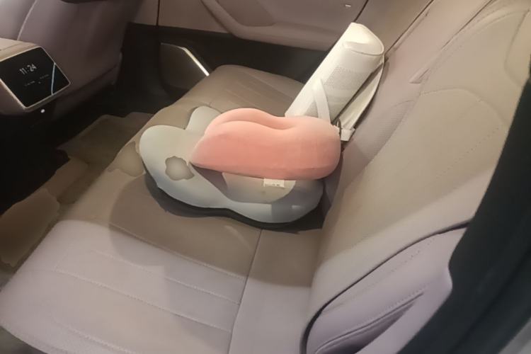 Used ONVO L60 2025 Model—60 kWh Rear-Wheel-Drive Version Left Rear Seat