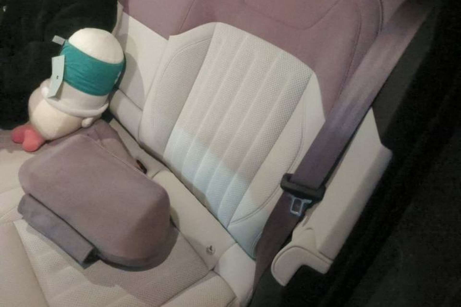 Used ONVO L60 2025 Model, 60kWh Violet Limited Edition Left Rear Seat