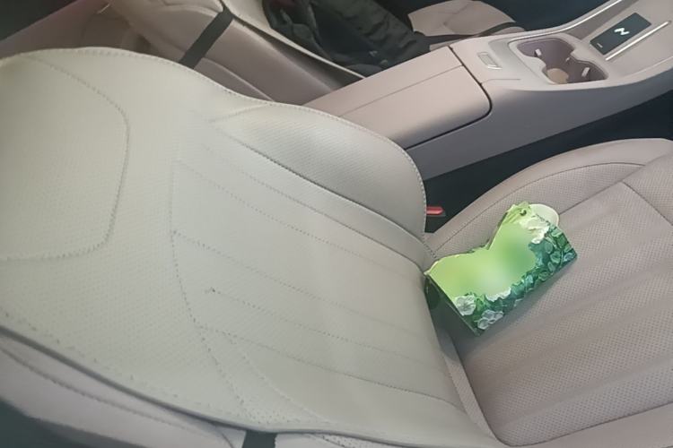 Used ONVO L60 2025 Model—60 kWh Rear-Wheel-Drive Version Right Front Seat