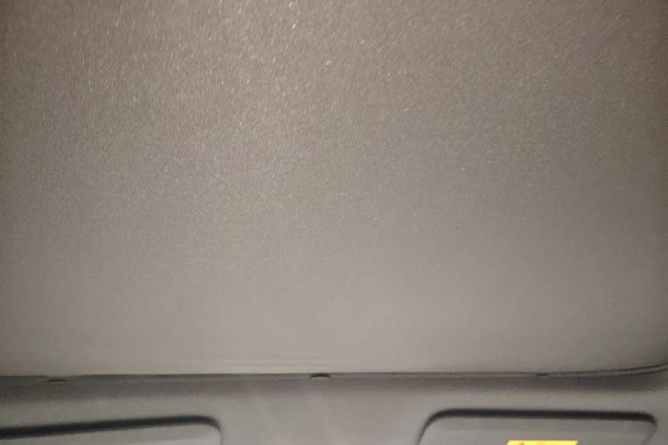 Used ONVO L60 2025 Model—85 kWh Rear-Wheel-Drive Version Headliner